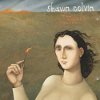 Shawn Colvin - If I Were Brave
